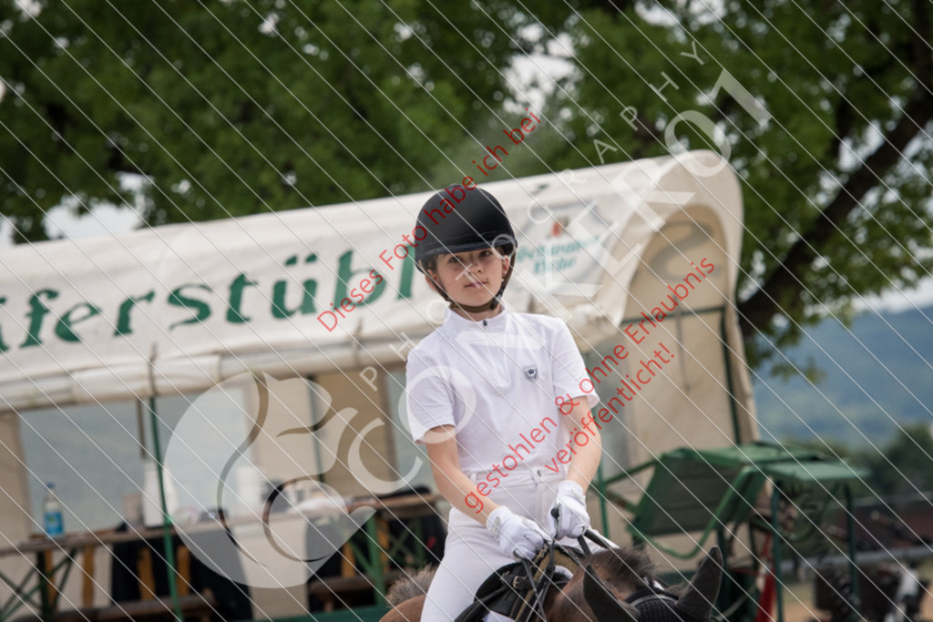 ND5_8004 | Sport-, Event- und Tierfotos in Profiqualität. Einfach auswählen, bestellen und herunterladen. Dein Moment – perfekt festgehalten.