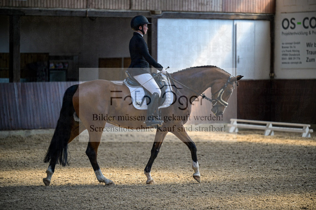 Reitturnier Voxtrup | Entdecke hochwertige Reitturnierfotos von Foto Oger. Professionell, emotional und authentisch – jetzt Lieblingsmomente im Shop bestellen.Deutschlandweite Turnierfotografie. - Realisiert mit Pictrs.com