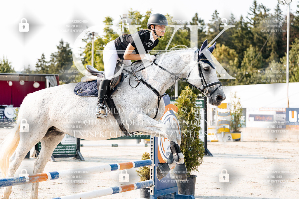 CK902687 | Turnierfotografie Pferdefotografie Trier Rheinland-Pfalz Pferdesport Reitsport Tierfotografie Sportfotografie Pferdevideo Pferdevideografie Equestrianvideography equestrianphotography  - Realisiert mit Pictrs.com