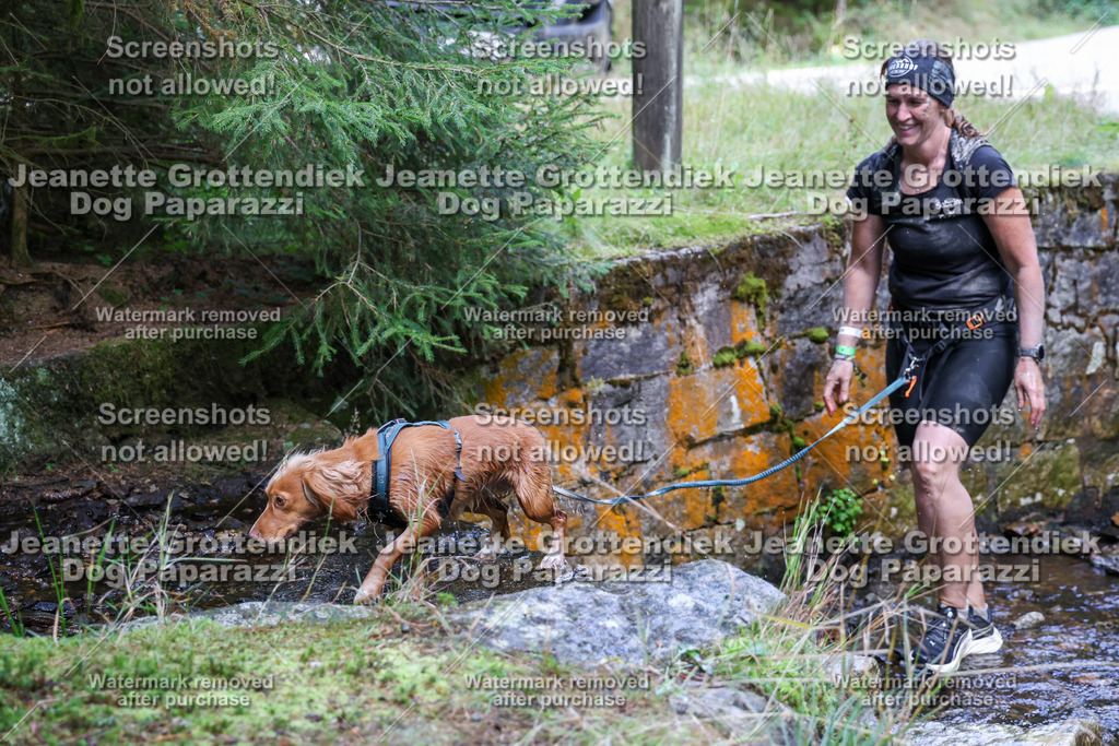 Dog Paparazzi -  TH 26-577 | Dog Paparazzi Jeanette Grottendiek Fotografie & Videografie - Realisiert mit Pictrs.com