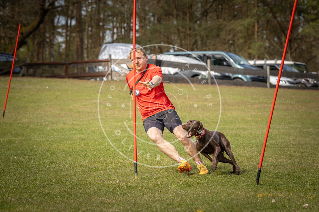 Pfotenfotografie_DV3A7088 | Hundefotografie, Tierfotograf, Pfotenfotografie, Fotoshooting Hund, Hunde Portrait, Hundesport, Hundeportraits, Heideshooting, Hunde, Sportfotograf, Hundefotograf, Turnierhundsport, THS,  - Realisiert mit Pictrs.com