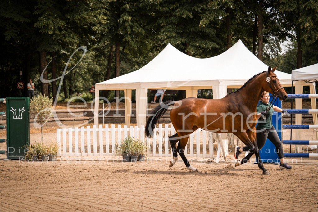 4.Fr00113 | Leoni Ertmer Photography - Realisiert mit Pictrs.com