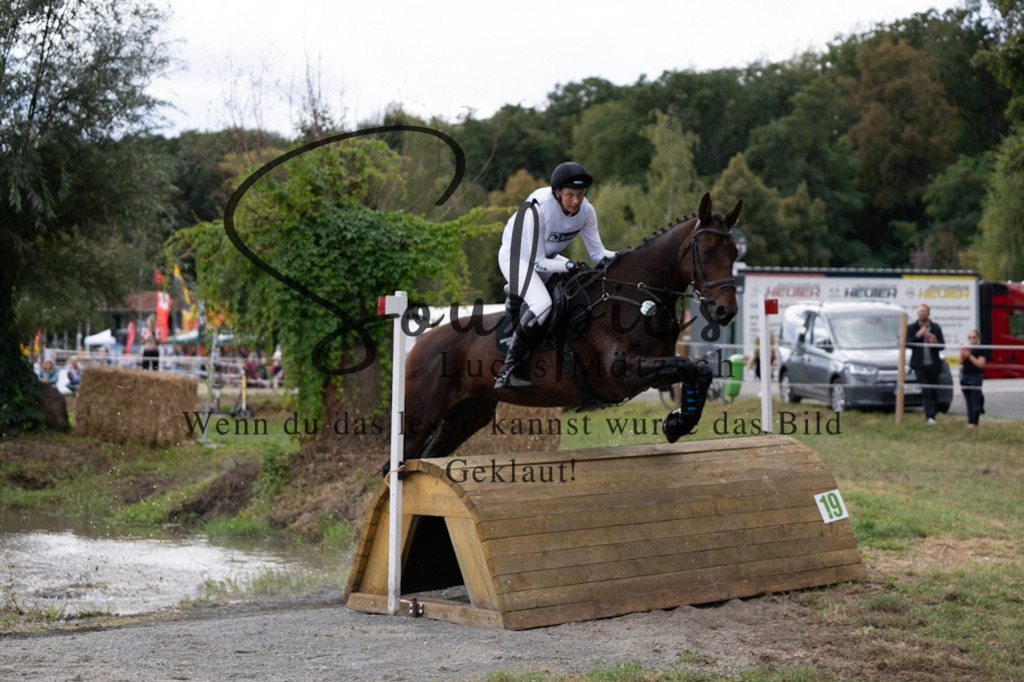 A7V01100 | Pferdefotograf