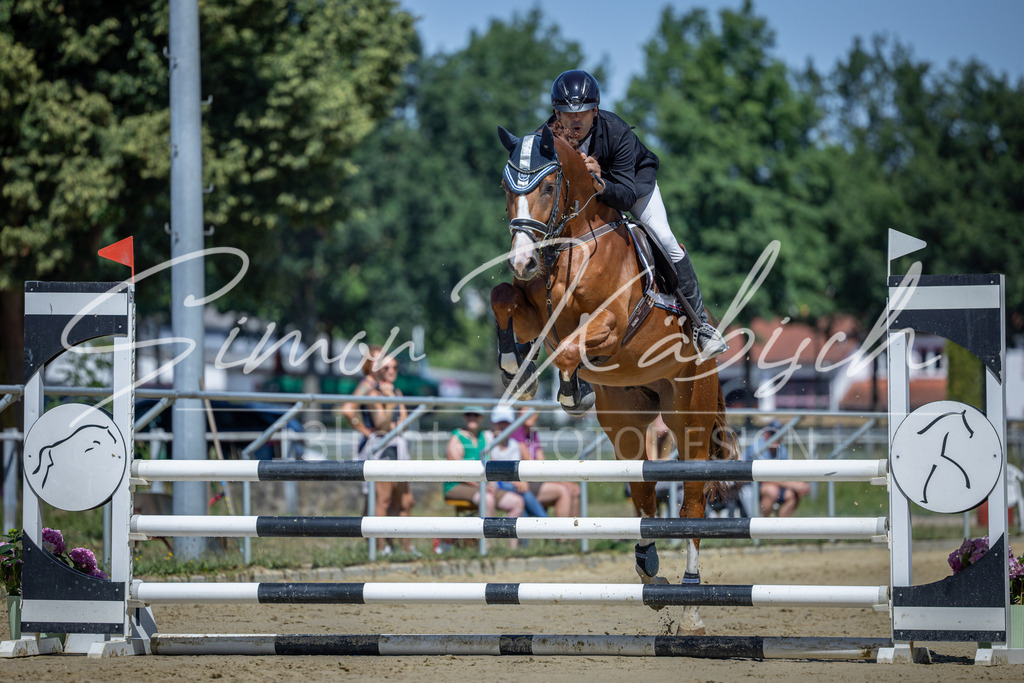 20260704-_3LI7940 | Tierfotografie Pferde, Hunde, Katzen, Haustiere.
Turnierfotografie Reitturniere, Reiten, Springreiten, Dressur in Hanau, dem Main-Kinzig-Kreis und dem Rhein-Main- Gebiet um Frankfurt
