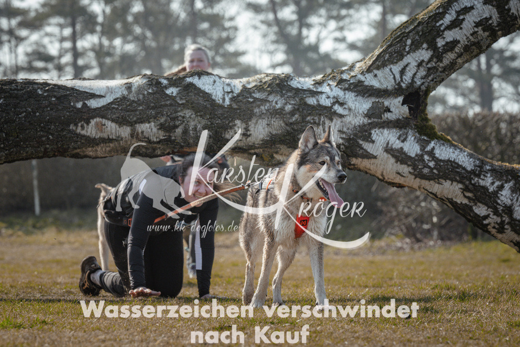 1118_ZZ95072 | kk-dogfotos