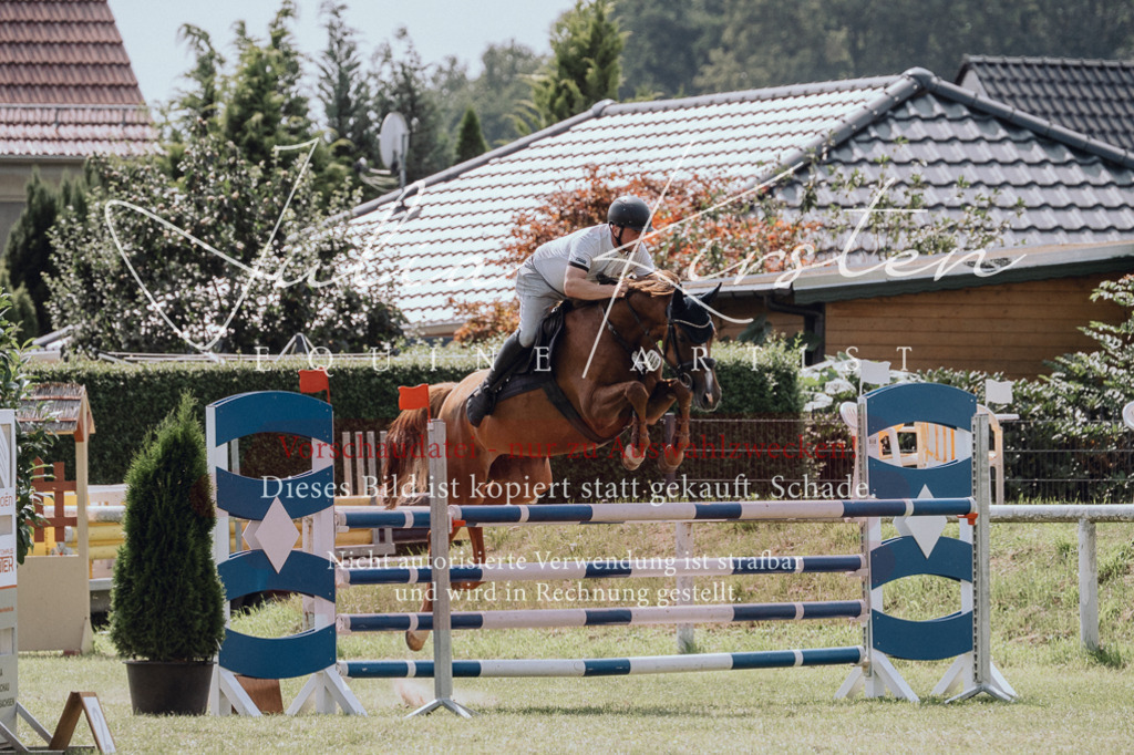 DSC_0643 | Pferde- und Turnierfotografie in Westsachsen. Pferdeportraits, Auftragszeichnungen und intuitive Kunst.