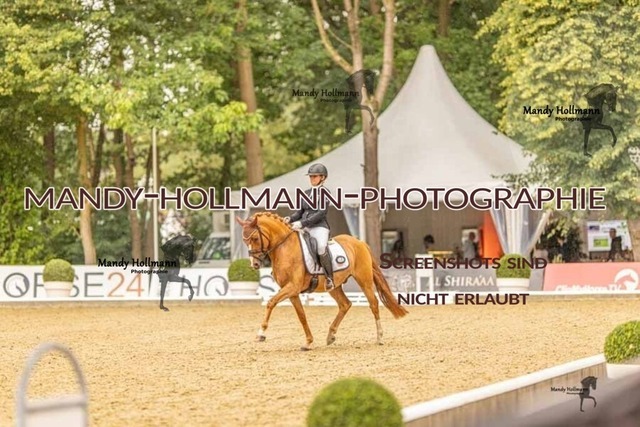 28-8-26 5j DRE-1139 | mandyhollmannphotographie