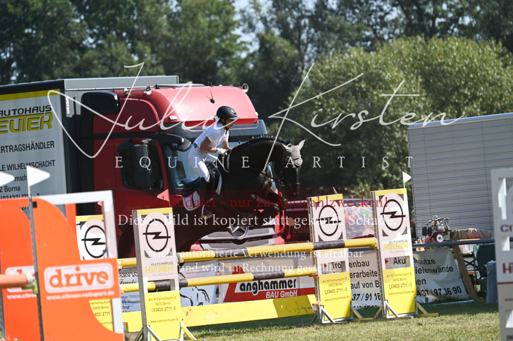 DSC_6391 | Pferde- und Turnierfotografie in Westsachsen. Pferdeportraits, Auftragszeichnungen und intuitive Kunst.