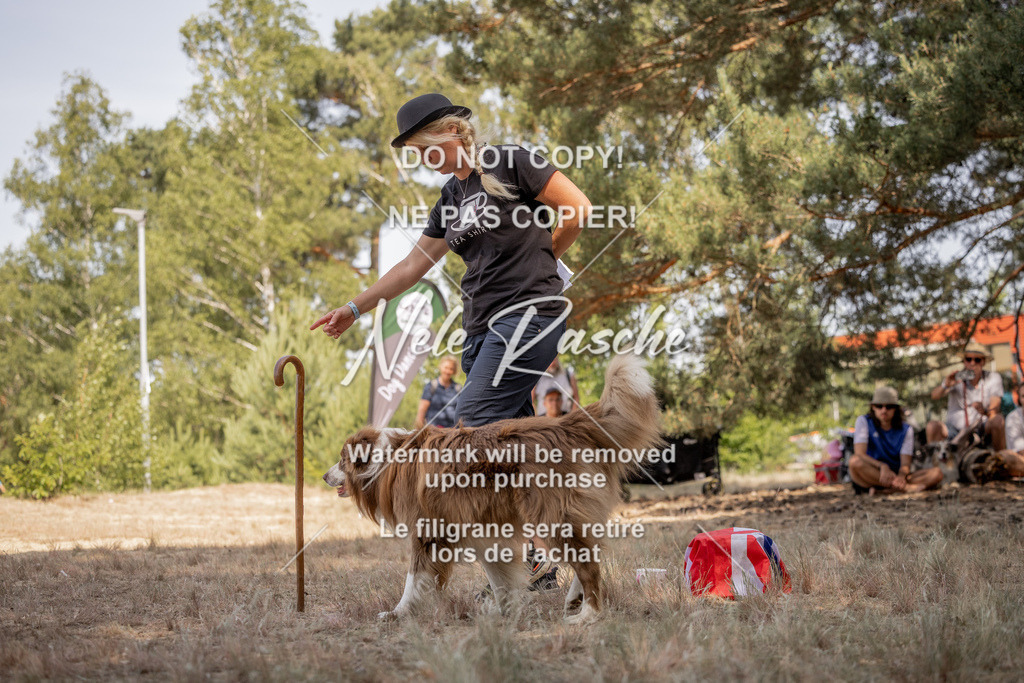 nelerasche_soDD2_133 | nelerasche
