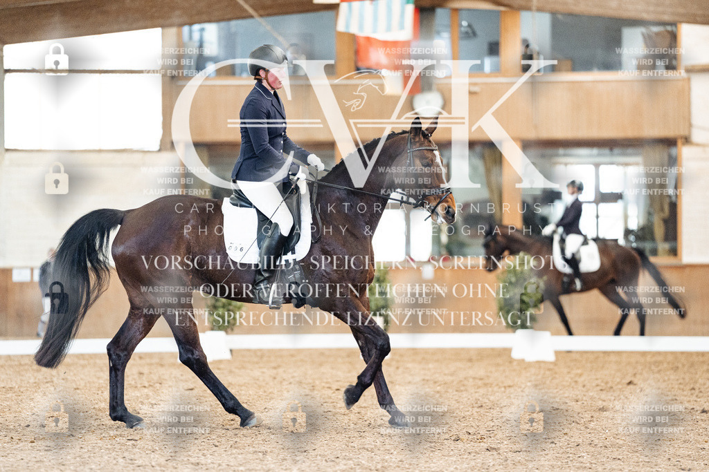 CK909201 | Turnierfotografie Pferdefotografie Trier Rheinland-Pfalz Pferdesport Reitsport Tierfotografie Sportfotografie Pferdevideo Pferdevideografie Equestrianvideography equestrianphotography  - Realisiert mit Pictrs.com
