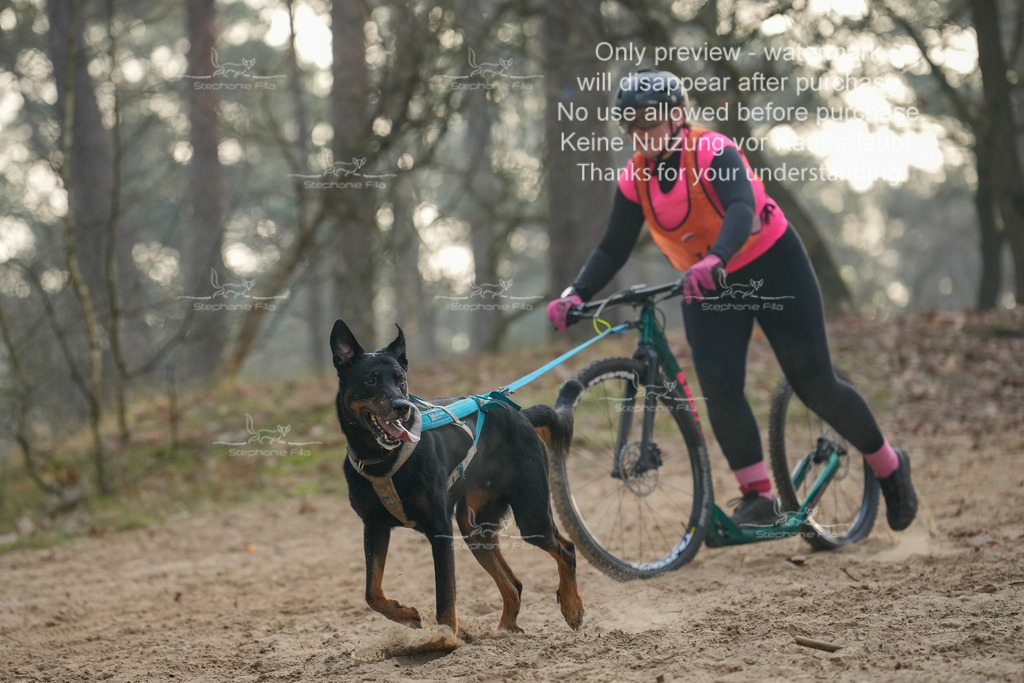 Scooter1-196 | stephaniefillaphotographie - Realisiert mit Pictrs.com