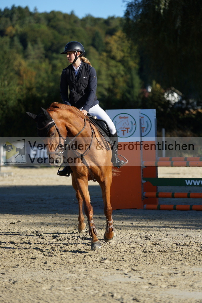 DSC08174 | equestrian-live-com