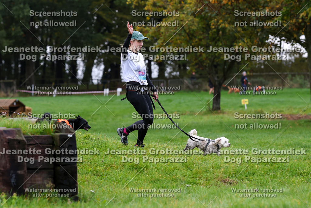 Dog Paparazzi -  SD1026-1346 | Dog Paparazzi Jeanette Grottendiek Fotografie & Videografie - Realisiert mit Pictrs.com