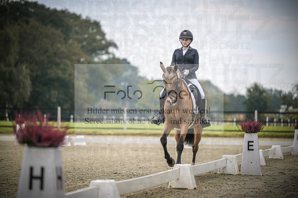 DOS_B414 | Entdecke hochwertige Reitturnierfotos von Foto Oger. Professionell, emotional und authentisch – jetzt Lieblingsmomente im Shop bestellen.Deutschlandweite Turnierfotografie. - Realisiert mit Pictrs.com
