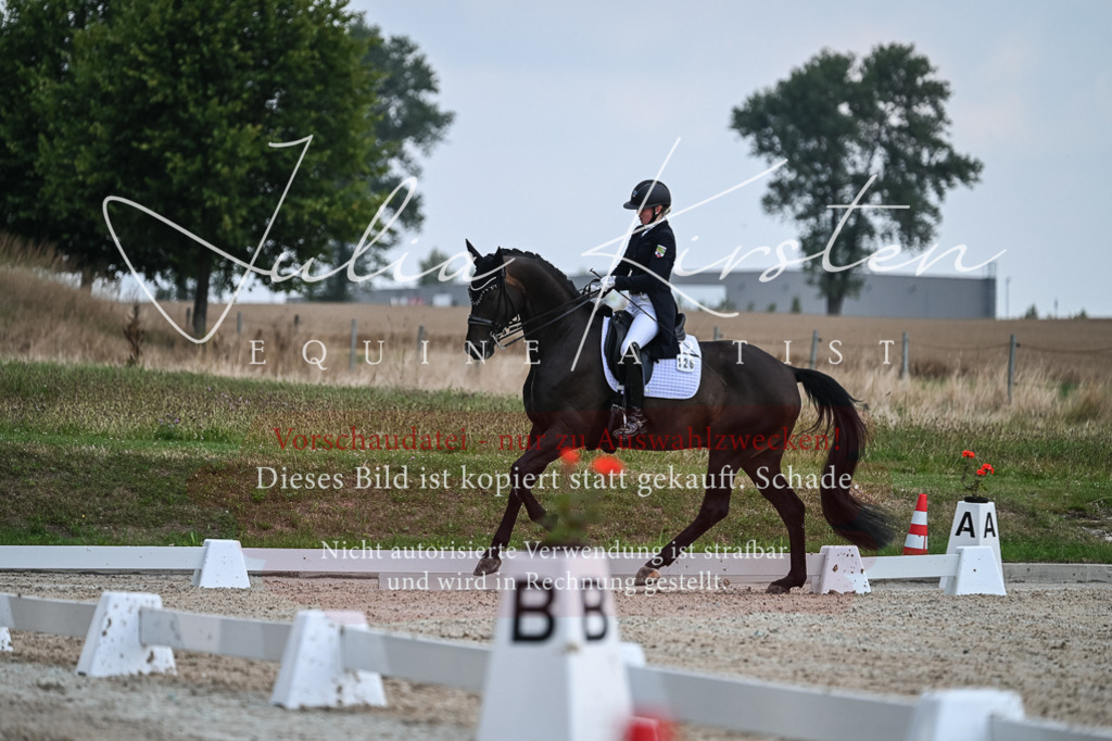 DSC_2307 | Pferde- und Turnierfotografie in Westsachsen. Pferdeportraits, Auftragszeichnungen und intuitive Kunst.