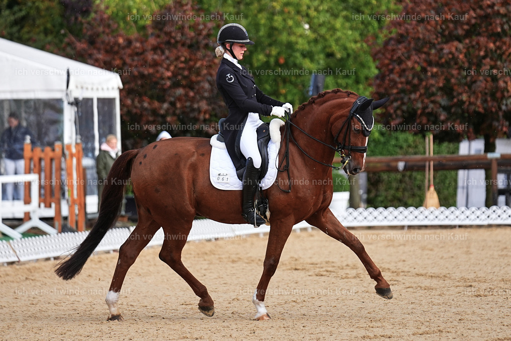 10-061-ST.GEORG SPECIAL -Marixx-3323 | working equitationturnier fotograf videograf stoibphotography marixx film working equitation deutschland reitsport turnierfotografie eventfotografie equestrian events