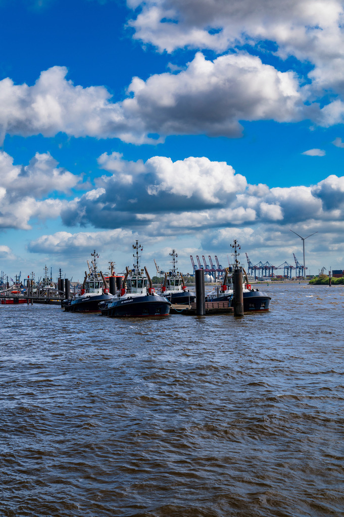 2024_04_14_HH-OEVELGOENNE-ELBE_MCP7839 | Hochwertig gedruckte Fotografien für die Wand, als Kalender und zum Verschenken. Hamburg & Norddeutschland und überall wo ich mit der Kamera unterwegs war.