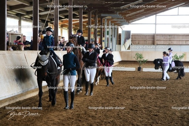 JugendTrophy.II0201 | Fotografie, Tiere, Hunde, Katzen, Pferde, Sportfotografie, Fotosession, Tierfotografie, Turnierfotografie, Fotografin, Fotograf - Realisiert mit Pictrs.com