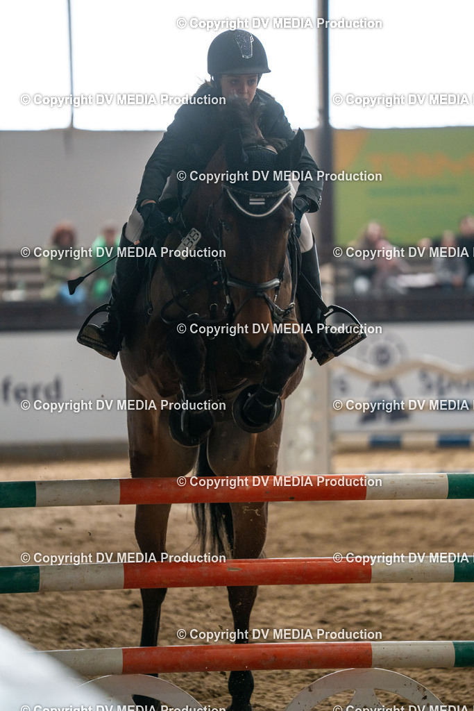 Kranichstein Tag 2-610 | dv-media-shop - Realisiert mit Pictrs.com