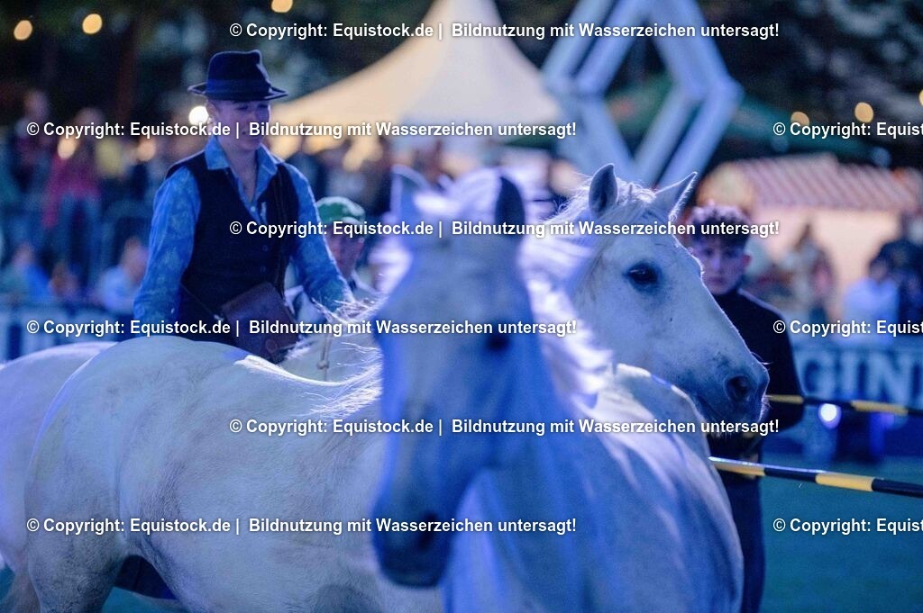 20250606_Lange-Pferdenacht_1060 | Foto: Thomas Hartig