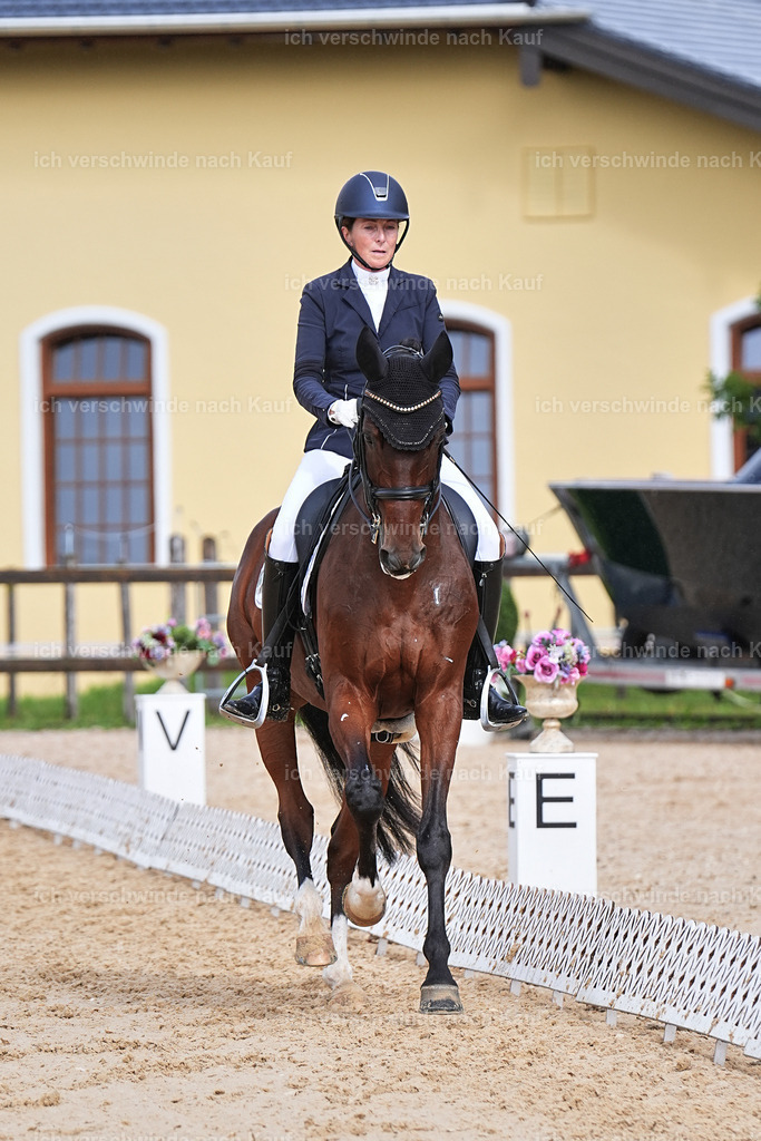 05-117-DRESSUR M_  -Marixx-4979 | working equitationturnier fotograf videograf stoibphotography marixx film working equitation deutschland reitsport turnierfotografie eventfotografie equestrian events