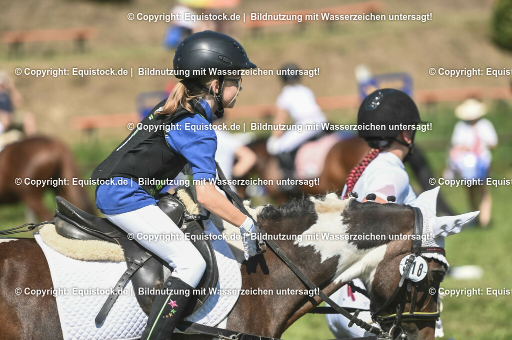 20230910_11-2_Führzügel-WB_0128 | Foto: Thomas Hartig