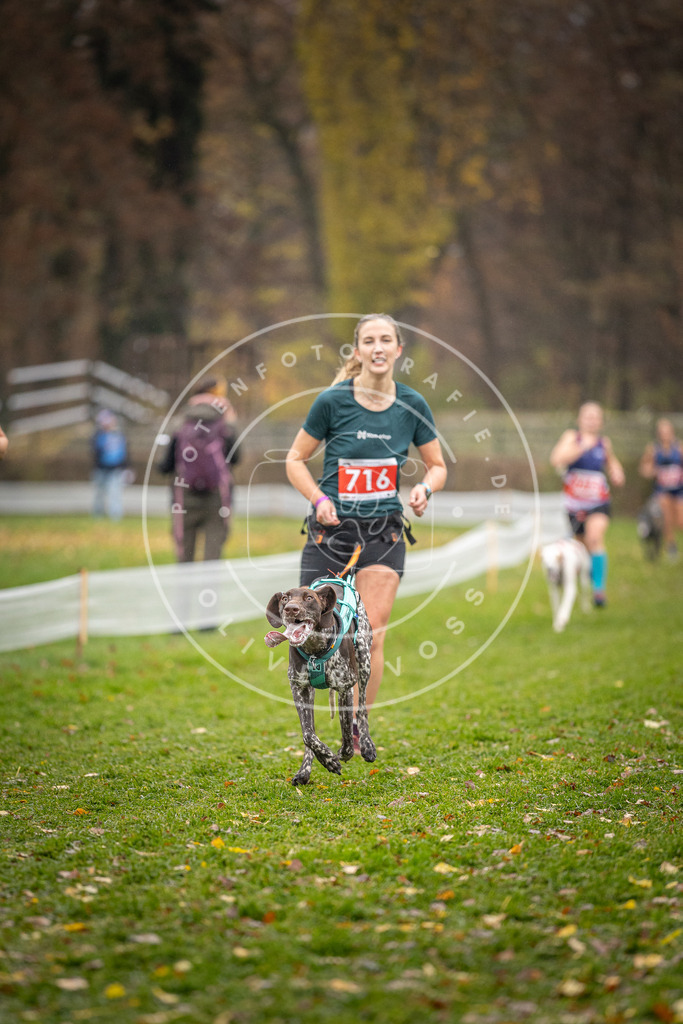CaniXpix_DV3A9120 | Hundefotografie, Tierfotograf, Pfotenfotografie, Fotoshooting Hund, Hunde Portrait, Hundesport, Hundeportraits, Heideshooting, Hunde, Sportfotograf, Hundefotograf, Turnierhundsport, THS,  - Realisiert mit Pictrs.com