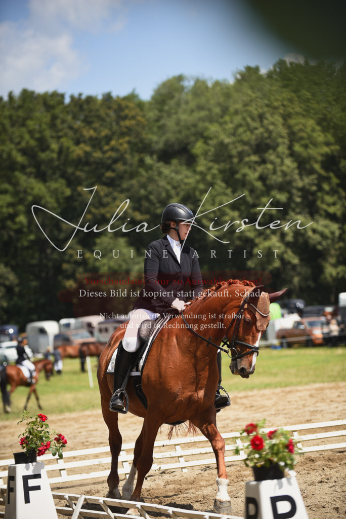 DSC_1160 | Pferde- und Turnierfotografie in Westsachsen. Pferdeportraits, Auftragszeichnungen und intuitive Kunst.