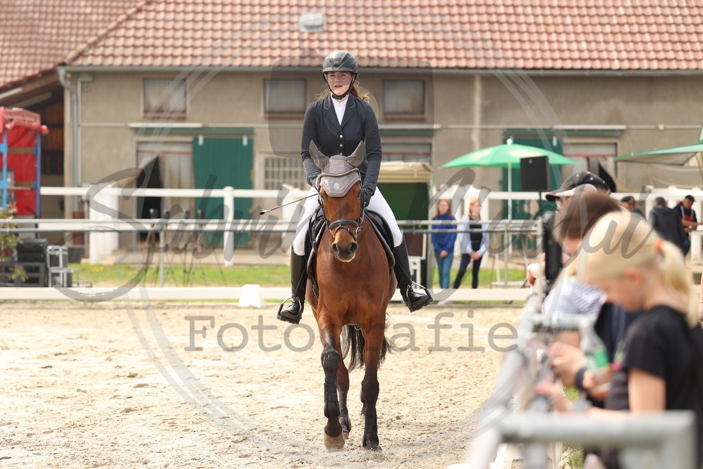 994A7600 | sabrinanicolaifotografie - Realisiert mit Pictrs.com