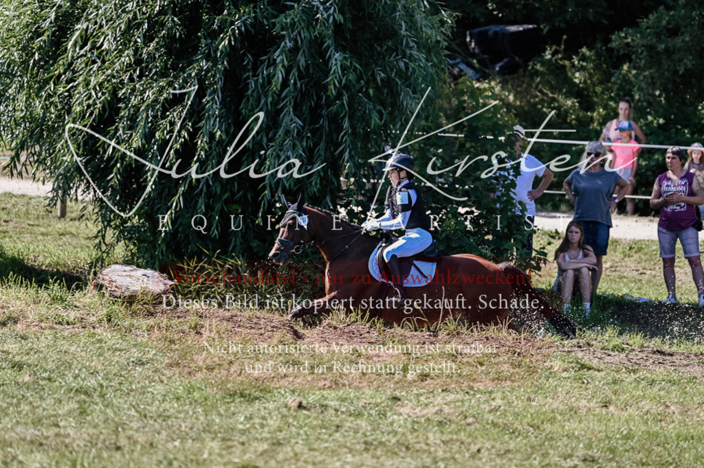 DSC_2836 | Pferde- und Turnierfotografie in Westsachsen. Pferdeportraits, Auftragszeichnungen und intuitive Kunst.