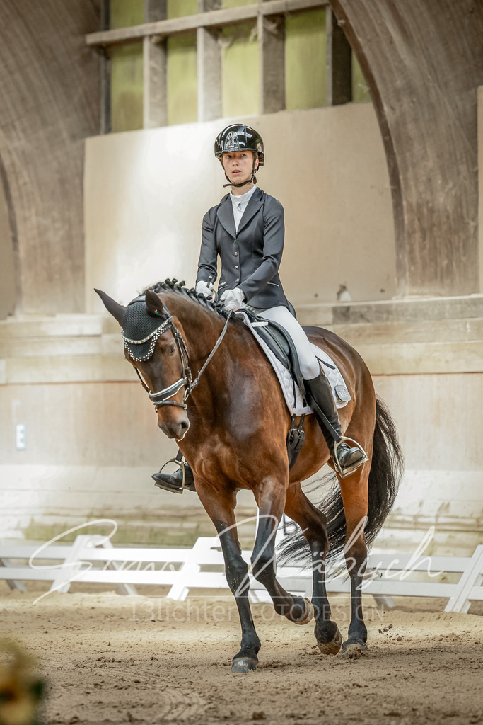 20250621-_3LI6060 | Tierfotografie Pferde, Hunde, Katzen, Haustiere.
Turnierfotografie Reitturniere, Reiten, Springreiten, Dressur in Hanau, dem Main-Kinzig-Kreis und dem Rhein-Main- Gebiet um Frankfurt