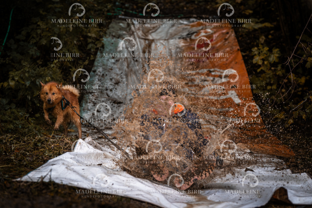 madeleinebirr-fotografie2025.campcanis.sa.15-16Uhr-388 | hundefotografie-birr