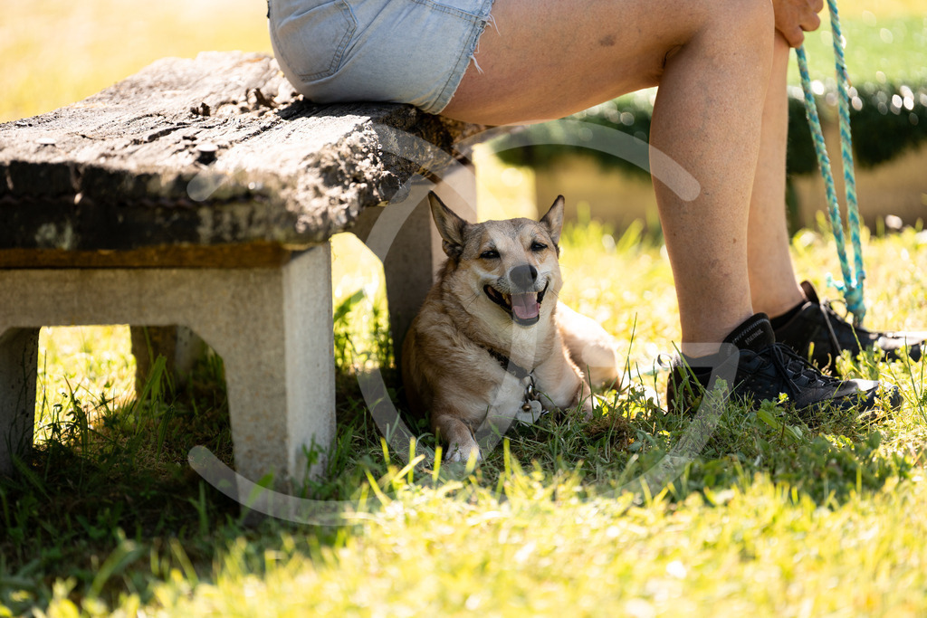 DSC01259 | Carolin Gieschke