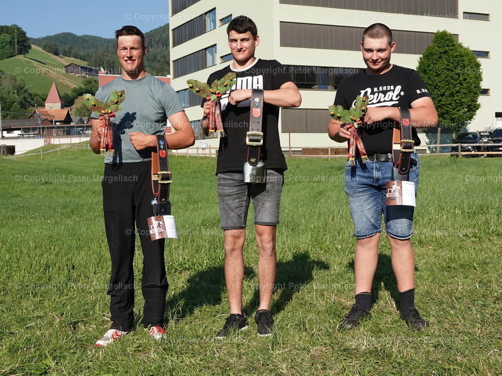 DSC04796 | Schwingen - Realisiert mit Pictrs.com