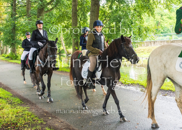 Jagd Kletkamp 26-9581_MarinaHewig | Fotografie, FotoArt, PferdesportArt, Pferdesportfotografie, Landschaftsfotografie, Reisefotografie, Reise, Pferde - Realisiert mit Pictrs.com