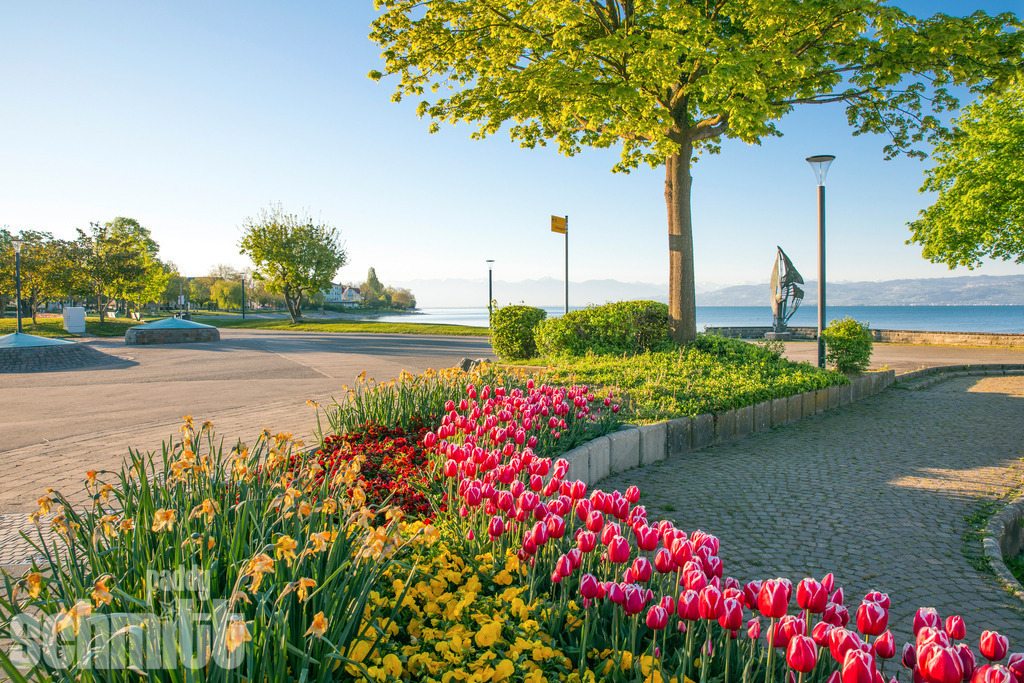 PS-Langenargen-2026-07 | Entdecke die größte Bildgalerie der Region mit Fotografien aus dem Allgäu, der Bodenseeregion, Oberschwaben, dem Donautal und der Schwäbischen Alb. Landschaften, Luftaufnahmen und Reisefotografie als Wandbild und Fotokunst. - Realisiert mit Pictrs.com