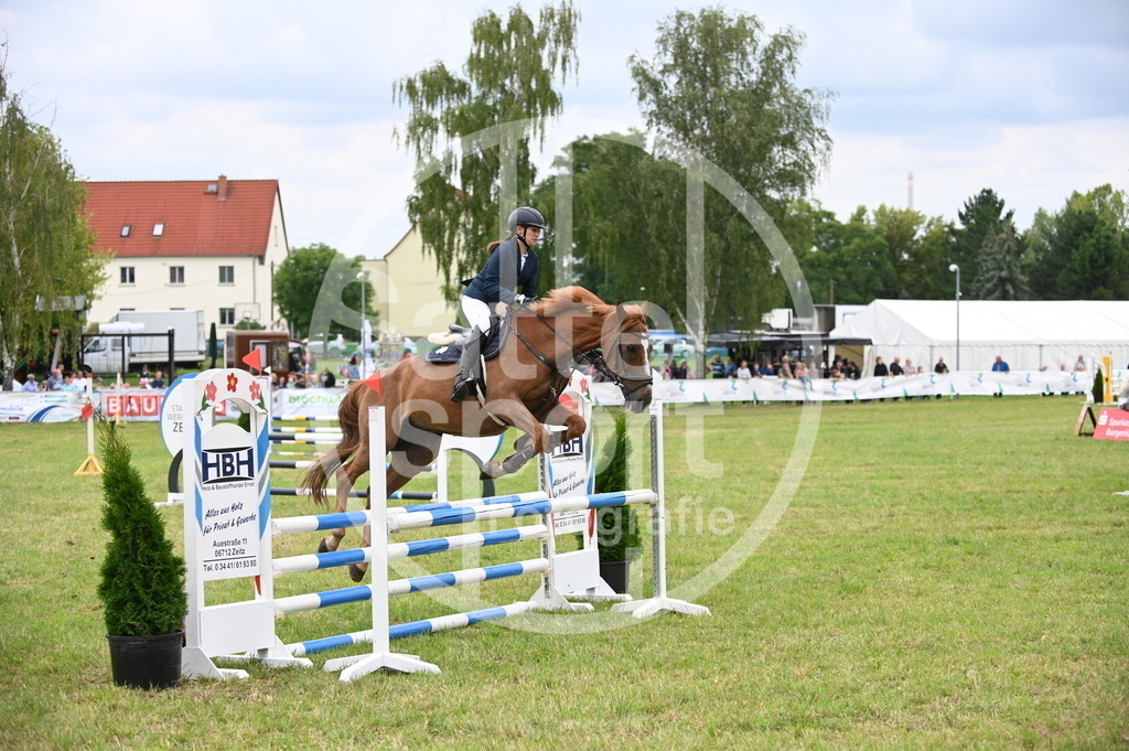 DSC_1268 | sattelsport - Realisiert mit Pictrs.com