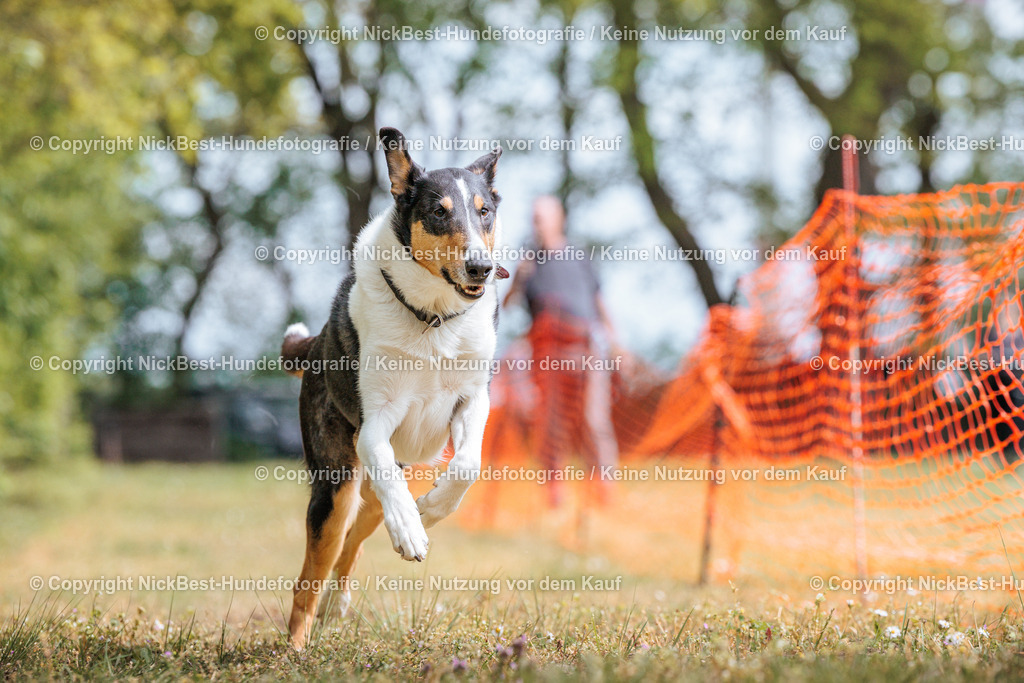 Sage Hunderennen Frühlingsfest-2026-Nickbest-Hundefotografie-0519 | Dein Hund! Dein Moment! Deine Erinnerungen! Hundefotografie in Bremen Blumenthal. Ich fange die besonderen Momente deines Vierbeiners ein – ob Indoor mit Blitzanlage oder in der freien Natur. Sicher dir dein Moment und dein Termin für eure Erinnerungen.