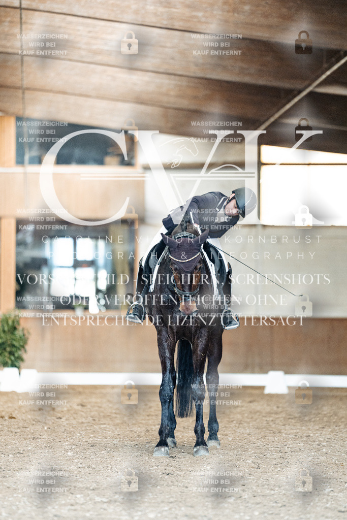 CK901551 | Turnierfotografie Pferdefotografie Trier Rheinland-Pfalz Pferdesport Reitsport Tierfotografie Sportfotografie Pferdevideo Pferdevideografie Equestrianvideography equestrianphotography  - Realisiert mit Pictrs.com