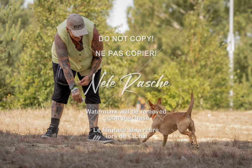 nelerasche_soDD2_57 | nelerasche