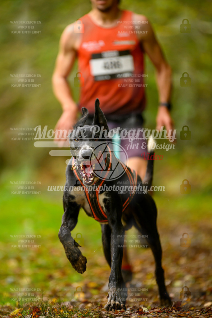 MompixPhotography_20TSB_E1_Run-8 | PayLife