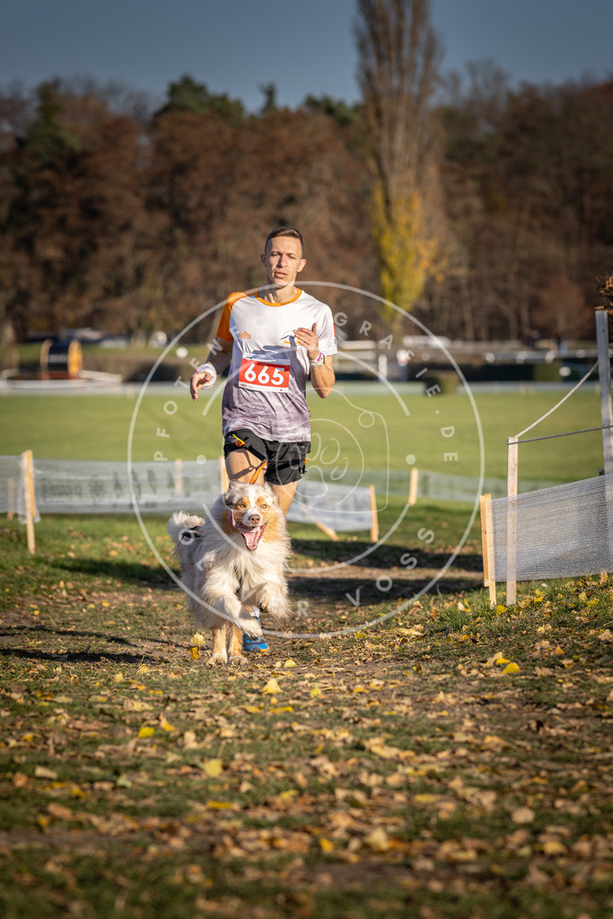 CaniXpix_DV3A0744 | Hundefotografie, Tierfotograf, Pfotenfotografie, Fotoshooting Hund, Hunde Portrait, Hundesport, Hundeportraits, Heideshooting, Hunde, Sportfotograf, Hundefotograf, Turnierhundsport, THS,  - Realisiert mit Pictrs.com