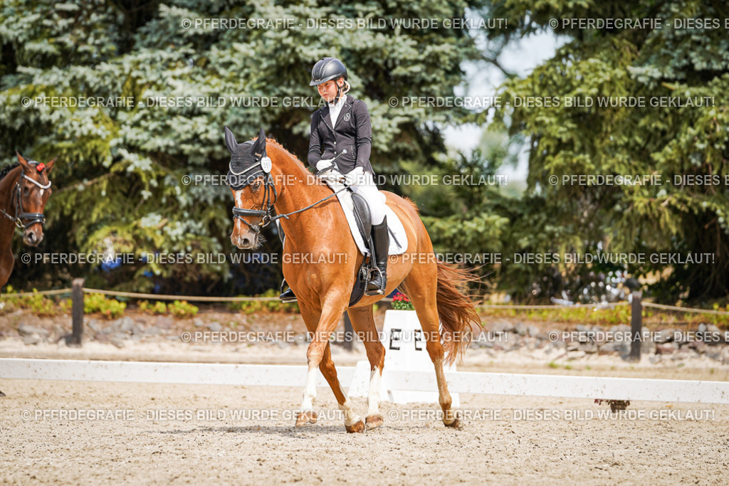 DSC03912 | Pferdegrafie