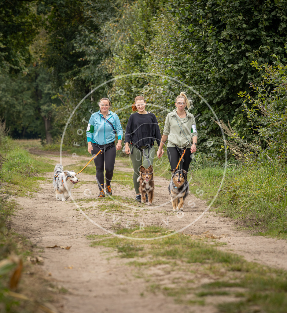Pfotenfotografie_DV3A7008 | Hundefotografie, Tierfotograf, Pfotenfotografie, Fotoshooting Hund, Hunde Portrait, Hundesport, Hundeportraits, Heideshooting, Hunde, Sportfotograf, Hundefotograf, Turnierhundsport, THS,  - Realisiert mit Pictrs.com