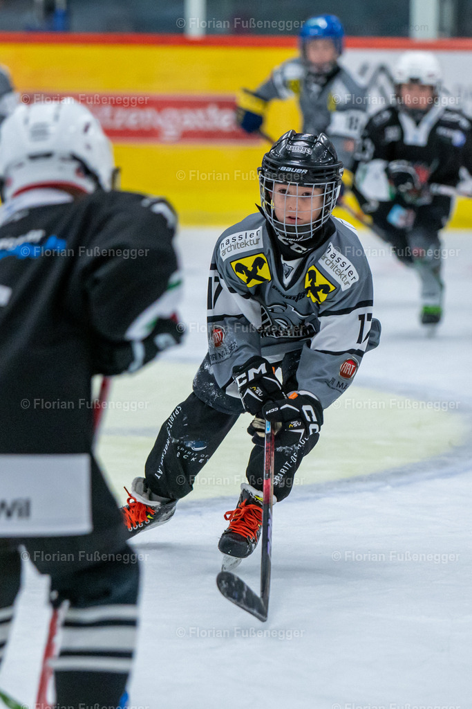 2025-03-01-Bärencup Wil-019 | "Fussifoto.com – Ihr Ansprechpartner für hochwertige Fotografie! Entdecken Sie kreative Bilder und professionelle Dienstleistungen. Kontaktieren Sie uns für Ihre Projekte!"