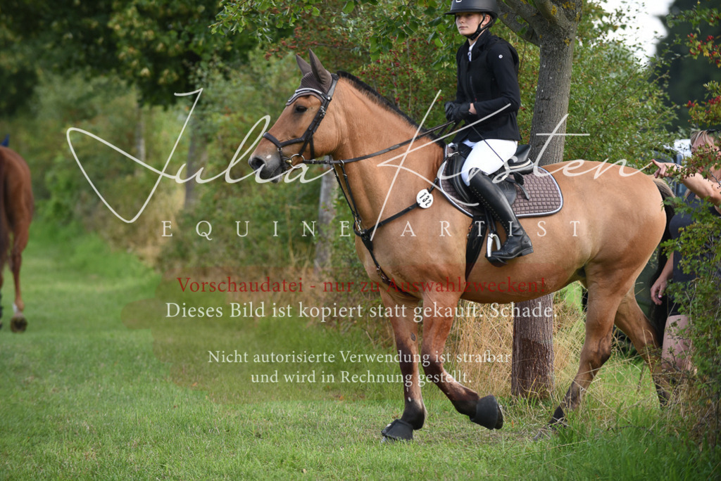 DSC_8597 | Pferde- und Turnierfotografie in Westsachsen. Pferdeportraits, Auftragszeichnungen und intuitive Kunst.