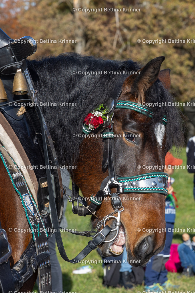 LBT24-1484 | foto-bettina-krinner - Realisiert mit Pictrs.com