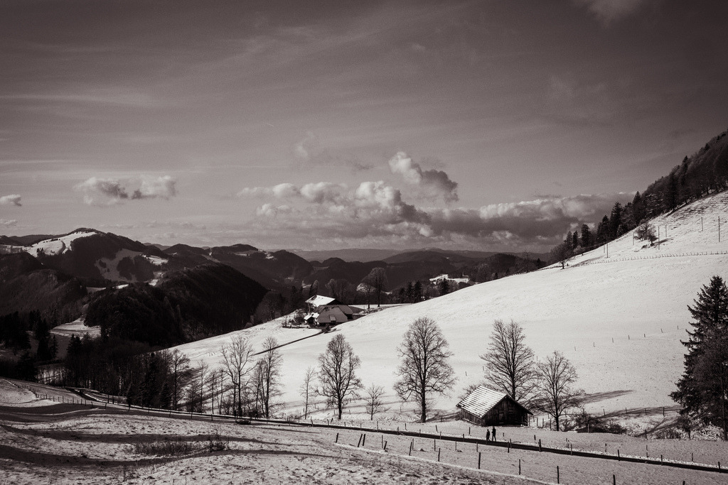 Winterliche Stimmung am Morgen auf dem Vogelberg | Schöne Fotografien aus der Stadt und der Natur zum bestellen oder selber hochladen. Druck auf Foto, Postkarte, Kalender, FineArt Hahnemühle, Alu-Dibond , Akustikbilder zur Absorption von Schall und Lärm etc. - Realisiert mit Pictrs.com