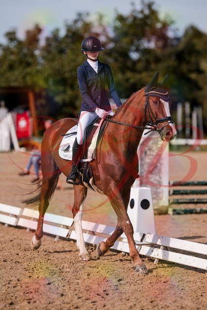 2026_10_03_Siefer-Hof_123444_Z81_32915432 | Professionelle Reitsport-, Turnier- und Eventfotografie von Robert Broda. Galerien mit ausgewählten und bearbeiteten Bildern direkt online ansehen und bestellen.