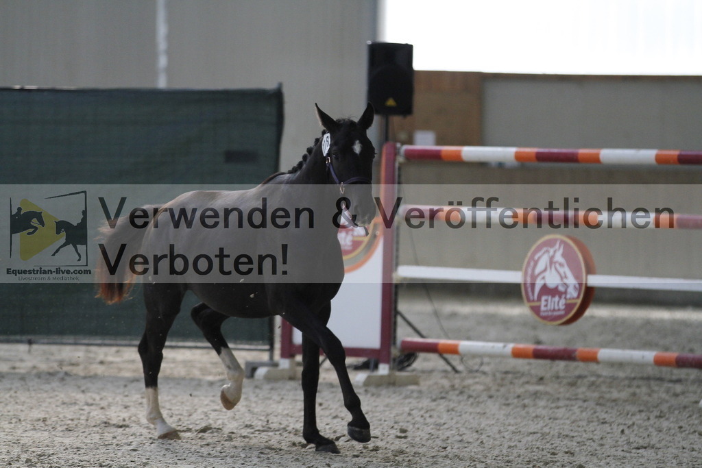 _MG_9370 | equestrian-live-com